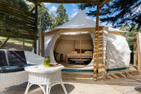 Kerikeri Glamping